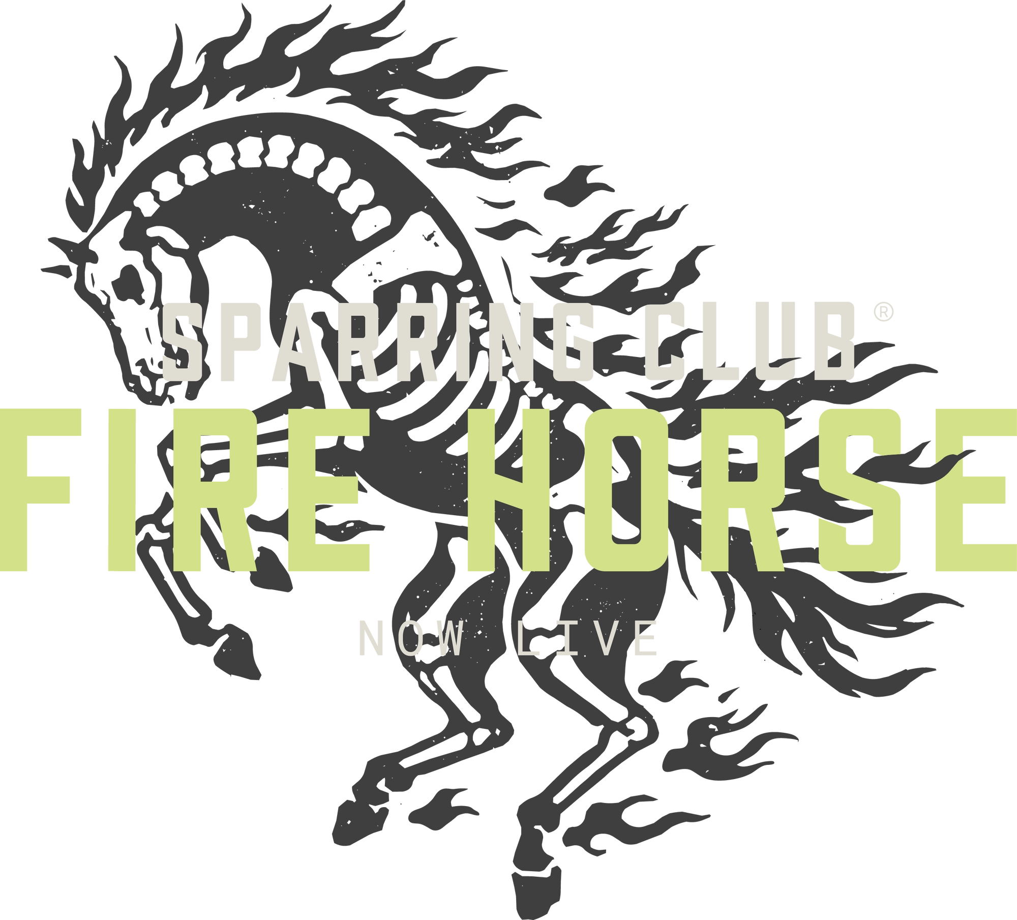 Sparring Club Fire Horse launch lockup with a horse in black ink and neon lettering
